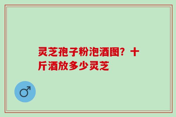 灵芝孢子粉泡酒图？十斤酒放多少灵芝