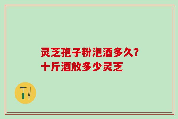 灵芝孢子粉泡酒多久？十斤酒放多少灵芝