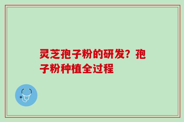 灵芝孢子粉的研发？孢子粉种植全过程