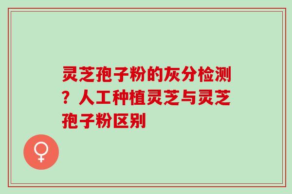 灵芝孢子粉的灰分检测？人工种植灵芝与灵芝孢子粉区别