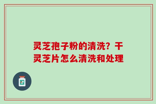 灵芝孢子粉的清洗？干灵芝片怎么清洗和处理