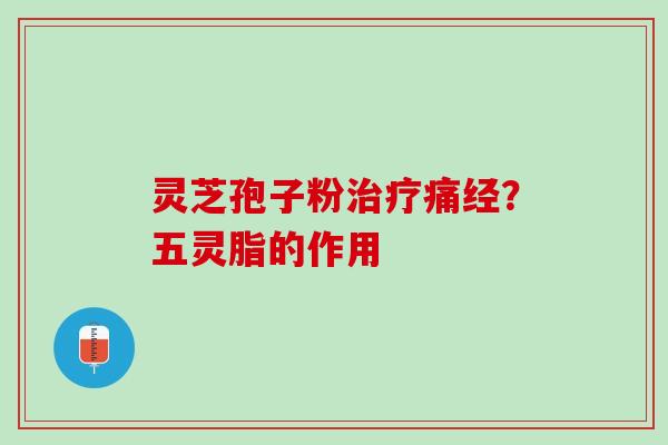 灵芝孢子粉治疗痛经？五灵脂的作用