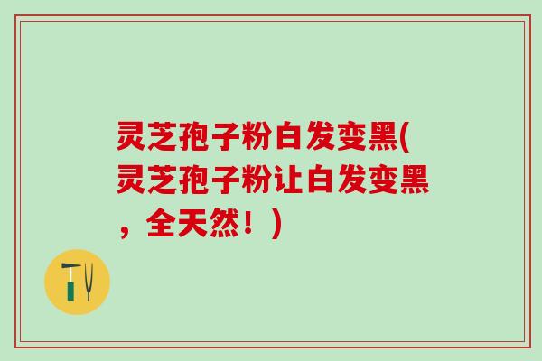 灵芝孢子粉白发变黑(灵芝孢子粉让白发变黑，全天然！)