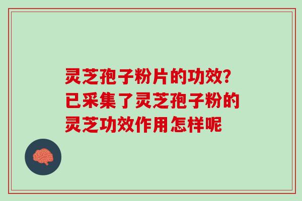 灵芝孢子粉片的功效？已采集了灵芝孢子粉的灵芝功效作用怎样呢