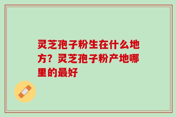 灵芝孢子粉生在什么地方？灵芝孢子粉产地哪里的最好