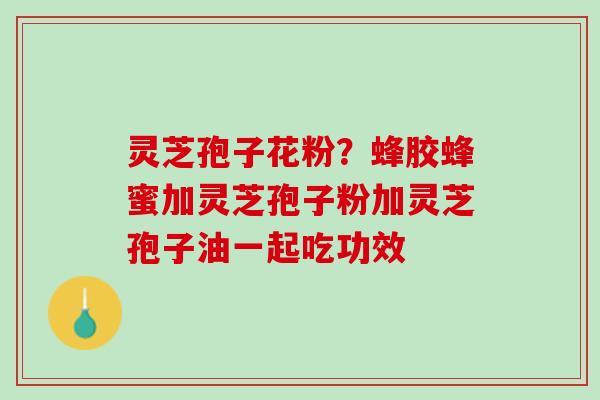 灵芝孢子花粉？蜂胶蜂蜜加灵芝孢子粉加灵芝孢子油一起吃功效