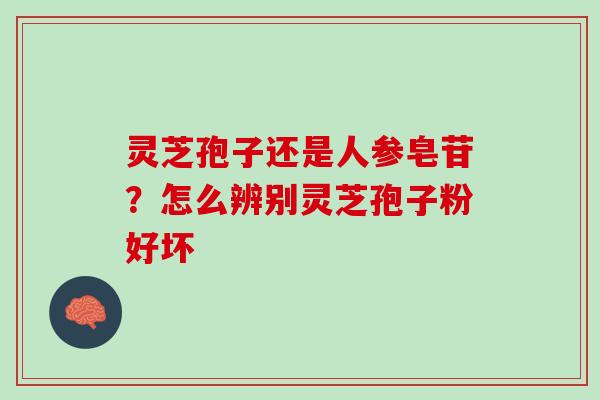 灵芝孢子还是人参皂苷?怎么辨别灵芝孢子粉好坏 灵芝孢子还是人参皂苷?怎么辨别灵芝孢子粉好坏