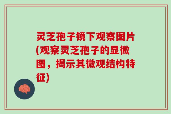 灵芝孢子镜下观察图片(观察灵芝孢子的显微图，揭示其微观结构特征)