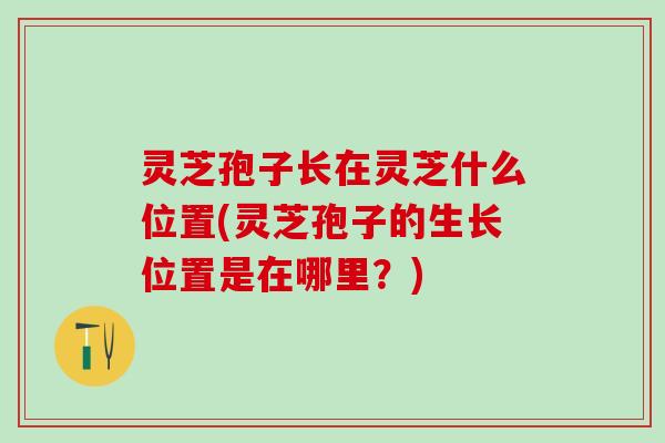 灵芝孢子长在灵芝什么位置(灵芝孢子的生长位置是在哪里？)