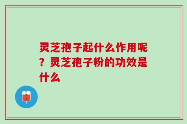 灵芝孢子起什么作用呢？灵芝孢子粉的功效是什么