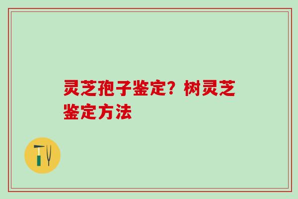 灵芝孢子鉴定？树灵芝鉴定方法