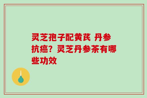 灵芝孢子配黄芪 丹参抗？灵芝丹参茶有哪些功效