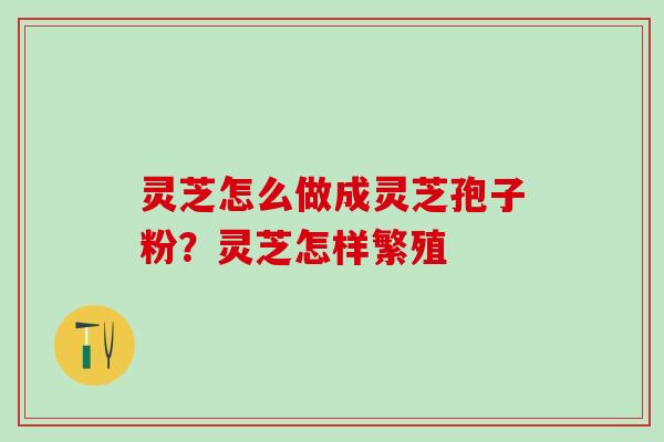 灵芝怎么做成灵芝孢子粉？灵芝怎样繁殖