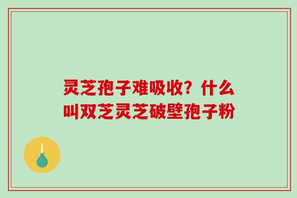 灵芝孢子难吸收？什么叫双芝灵芝破壁孢子粉