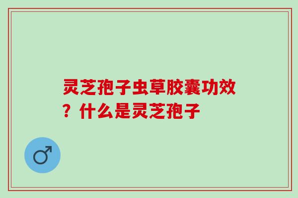灵芝孢子虫草胶囊功效？什么是灵芝孢子