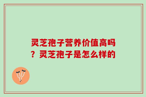 灵芝孢子营养价值高吗？灵芝孢子是怎么样的