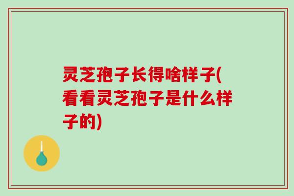 灵芝孢子长得啥样子(看看灵芝孢子是什么样子的) 灵芝孢子长得啥样子(看看灵芝孢子是什么样子的)