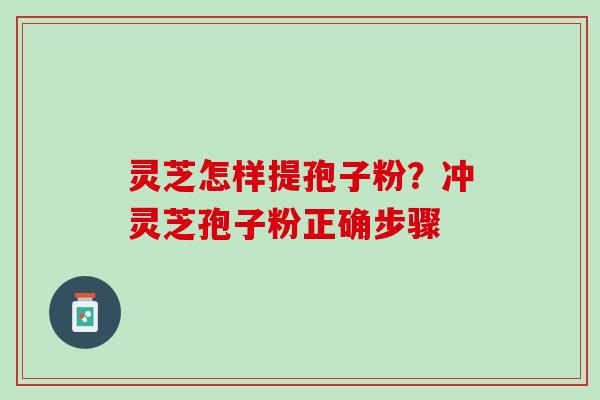 灵芝怎样提孢子粉？冲灵芝孢子粉正确步骤