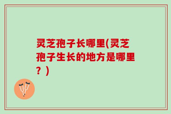 灵芝孢子长哪里(灵芝孢子生长的地方是哪里？)