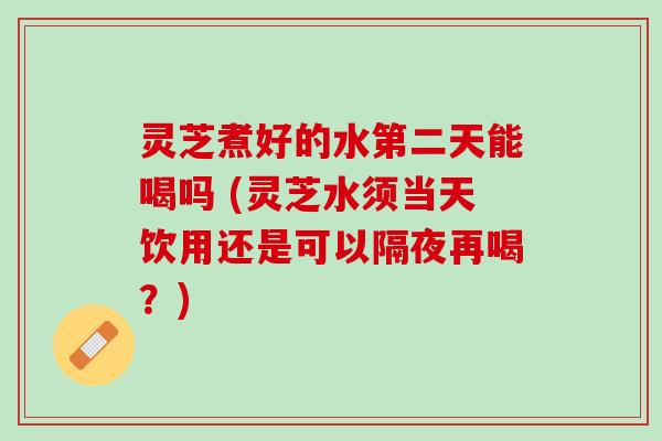 灵芝煮好的水第二天能喝吗 (灵芝水须当天饮用还是可以隔夜再喝？)