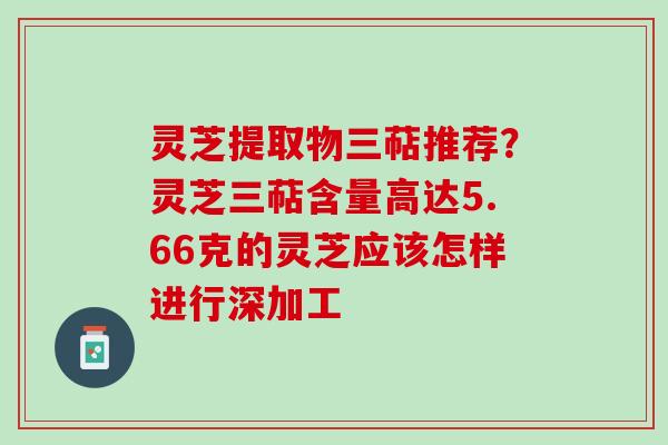 灵芝提取物三萜推荐？灵芝三萜含量高达5.66克的灵芝应该怎样进行深加工