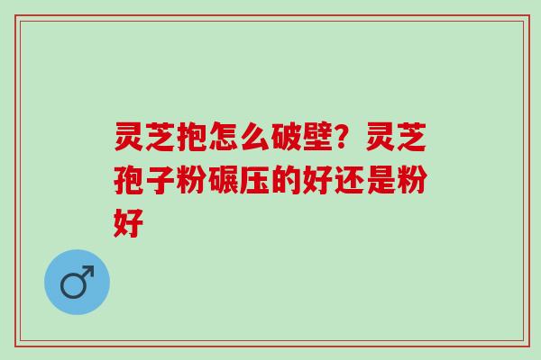 灵芝抱怎么破壁?灵芝孢子粉碾压的好还是粉好 灵芝抱怎么破壁?灵芝孢子粉碾压的好还是粉好