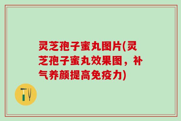 灵芝孢子蜜丸图片(灵芝孢子蜜丸效果图,养颜提高免疫力) 灵芝孢子蜜丸图片(灵芝孢子蜜丸效果图,养颜提高免疫力)