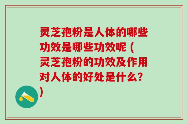 灵芝孢粉是人体的哪些功效是哪些功效呢 (灵芝孢粉的功效及作用对人体的好处是什么？)