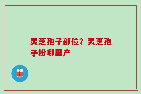 灵芝孢子部位？灵芝孢子粉哪里产