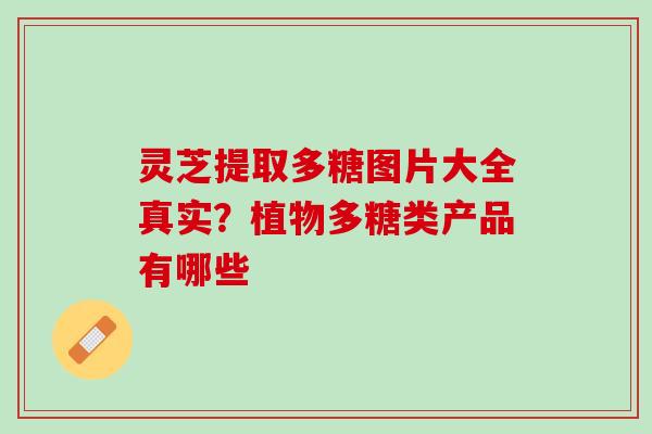 灵芝提取多糖图片大全真实？植物多糖类产品有哪些