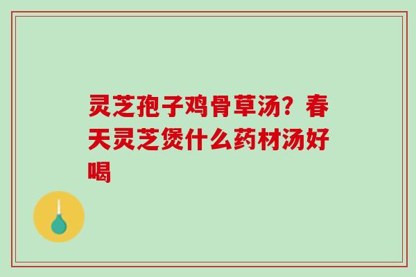 灵芝孢子鸡骨草汤？春天灵芝煲什么药材汤好喝