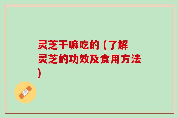 灵芝干嘛吃的 (了解灵芝的功效及食用方法)