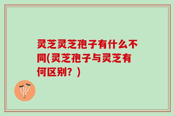 灵芝灵芝孢子有什么不同(灵芝孢子与灵芝有何区别？)