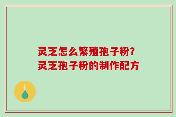灵芝怎么繁殖孢子粉？灵芝孢子粉的制作配方