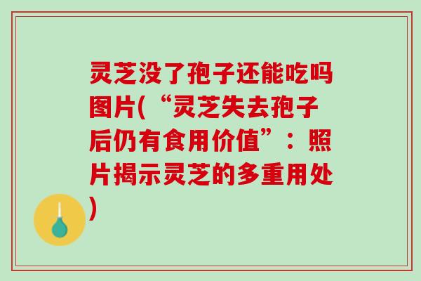 灵芝没了孢子还能吃吗图片(“灵芝失去孢子后仍有食用价值”：照片揭示灵芝的多重用处)