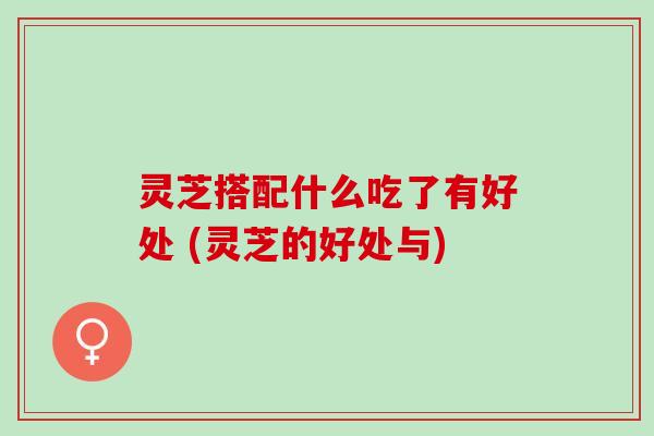 灵芝搭配什么吃了有好处 (灵芝的好处与) 灵芝搭配什么吃了有好处 (灵芝的好处与)