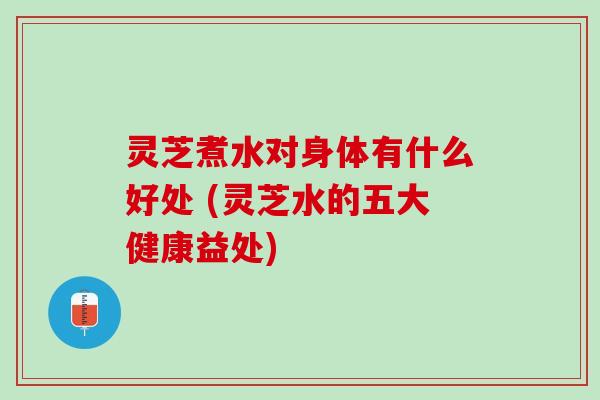 灵芝煮水对身体有什么好处 (灵芝水的五大健康益处)