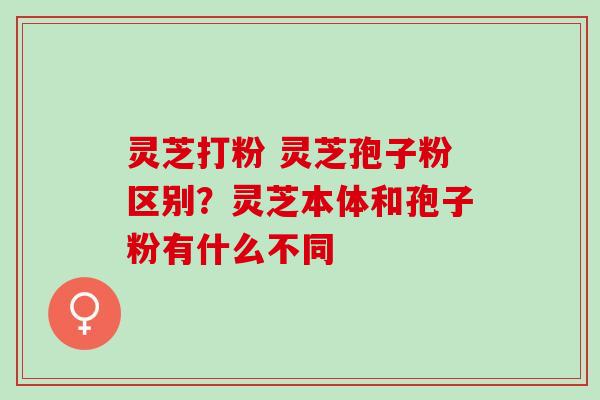 灵芝打粉 灵芝孢子粉区别？灵芝本体和孢子粉有什么不同