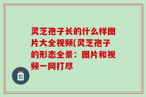 灵芝孢子长的什么样图片大全视频(灵芝孢子的形态全景：图片和视频一网打尽