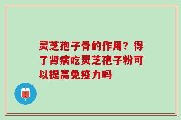 灵芝孢子骨的作用？得了肾病吃灵芝孢子粉可以提高免疫力吗