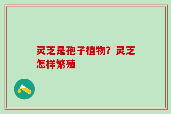 灵芝是孢子植物？灵芝怎样繁殖