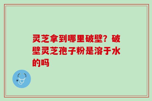 灵芝拿到哪里破壁?破壁灵芝孢子粉是溶于水的吗 灵芝拿到哪里破壁?破壁灵芝孢子粉是溶于水的吗
