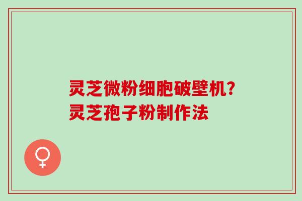 灵芝微粉细胞破壁机？灵芝孢子粉制作法
