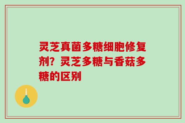 灵芝真菌多糖细胞修复剂？灵芝多糖与香菇多糖的区别