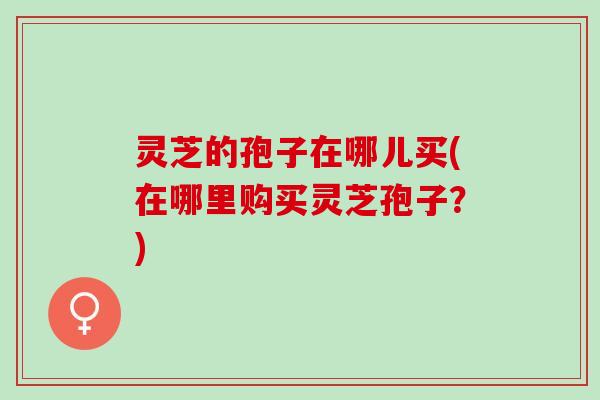 灵芝的孢子在哪儿买(在哪里购买灵芝孢子？)