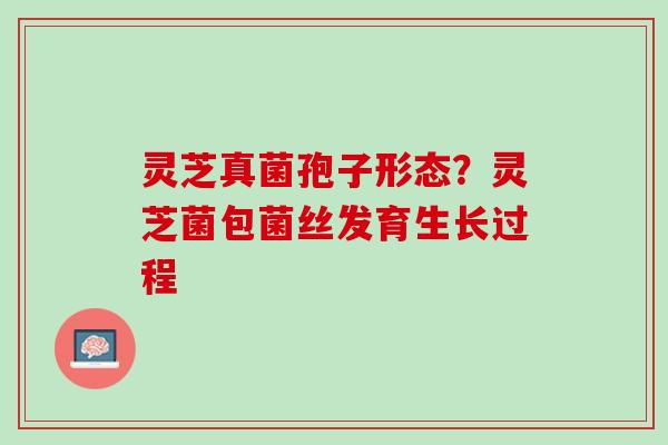 灵芝真菌孢子形态？灵芝菌包菌丝发育生长过程