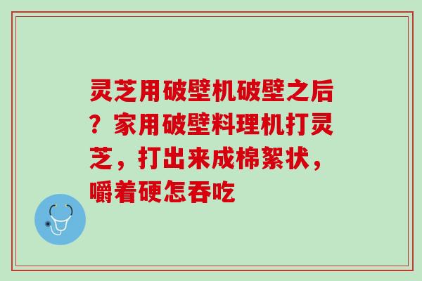灵芝用破壁机破壁之后？家用破壁料理机打灵芝，打出来成棉絮状，嚼着硬怎吞吃