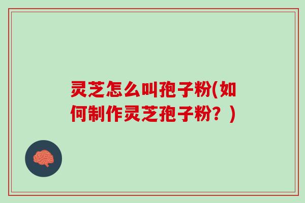 灵芝怎么叫孢子粉(如何制作灵芝孢子粉？)