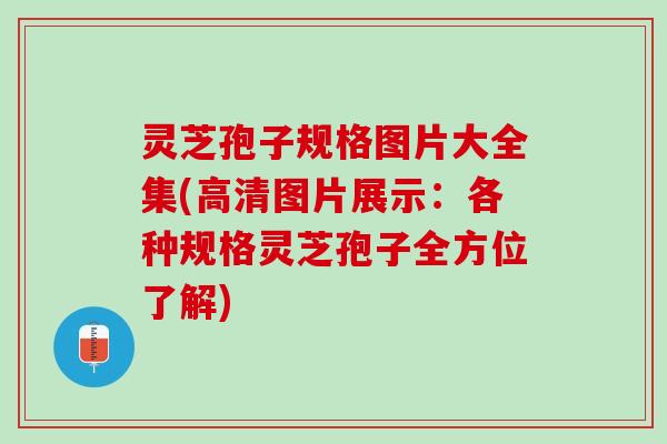灵芝孢子规格图片大全集(高清图片展示：各种规格灵芝孢子全方位了解)