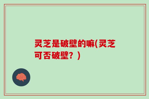 灵芝是破壁的嘛(灵芝可否破壁？)